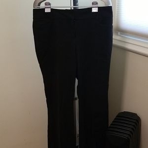 Dress Pants